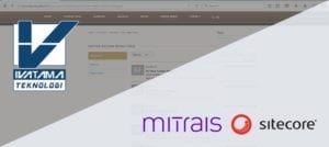 Mitrais Software Development Case Study – PT Ivatama Teknologi