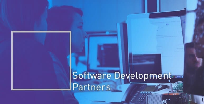 software development partners image
