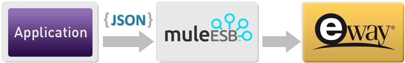 Eway Payment Portal using Mule ESB