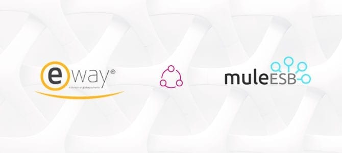 Integrating Eway Payment Portal Using Mule ESB blog cover