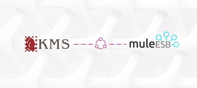 kms-mule-esb