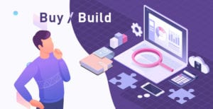 Software Development Strategy, Buy or Build?